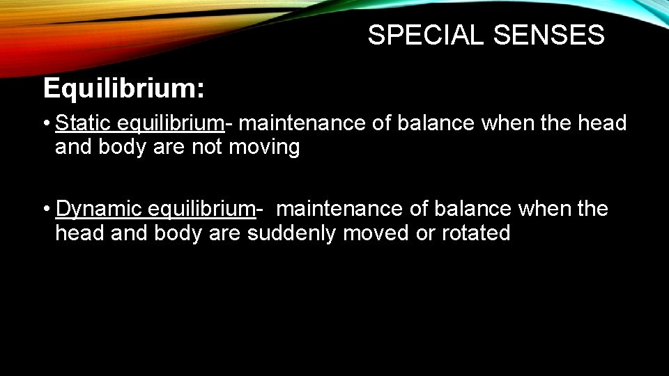 SPECIAL SENSES Equilibrium: • Static equilibrium- maintenance of balance when the head and body SPECIAL SENSES Equilibrium: • Static equilibrium- maintenance of balance when the head and body