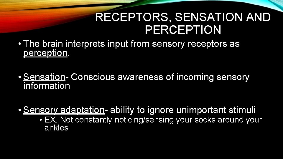 RECEPTORS, SENSATION AND PERCEPTION • The brain interprets input from sensory receptors as perception. RECEPTORS, SENSATION AND PERCEPTION • The brain interprets input from sensory receptors as perception.