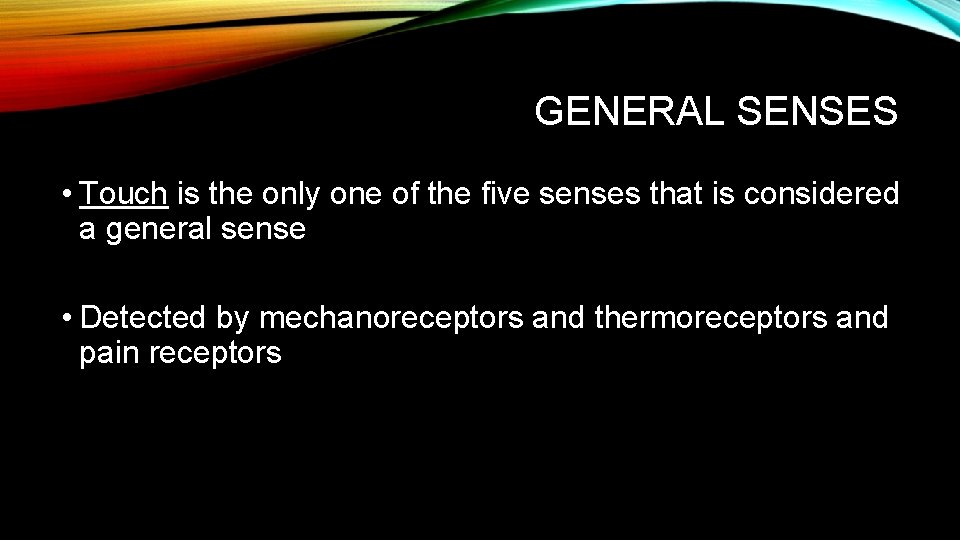 GENERAL SENSES • Touch is the only one of the five senses that is GENERAL SENSES • Touch is the only one of the five senses that is