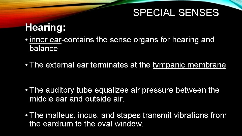 SPECIAL SENSES Hearing: • inner ear-contains the sense organs for hearing and balance
SPECIAL SENSES Hearing: • inner ear-contains the sense organs for hearing and balance