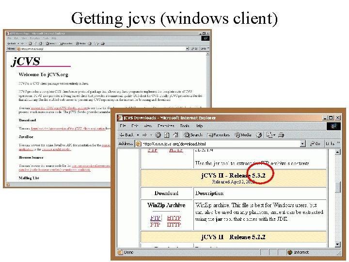 Getting jcvs (windows client) 