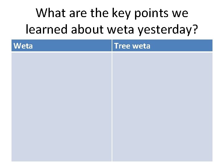What are the key points we learned about weta yesterday? Weta Tree weta 
