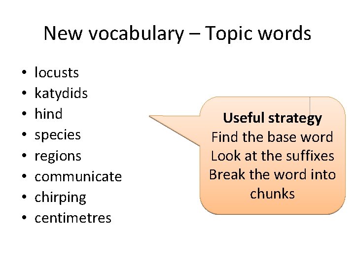 New vocabulary – Topic words • • locusts katydids hind species regions communicate chirping