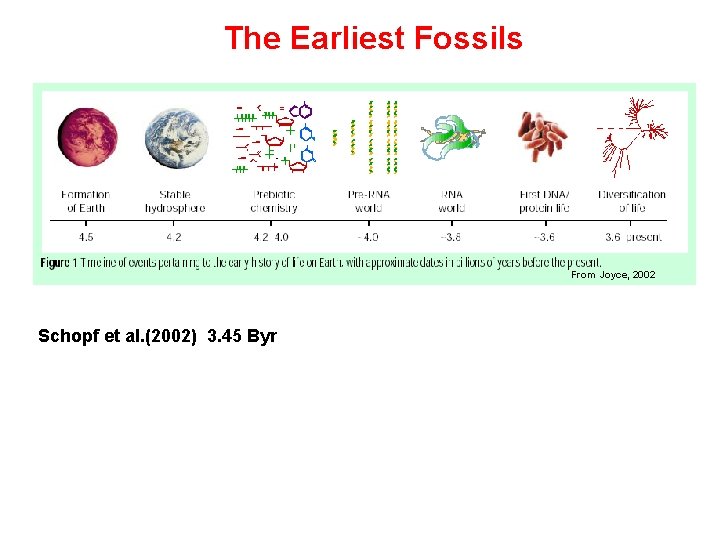 The Origin of Life Darwin 1871 in some