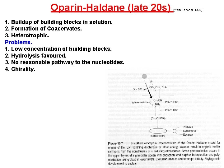 Oparin-Haldane (late 20 s) 1. Buildup of building blocks in solution. 2. Formation of