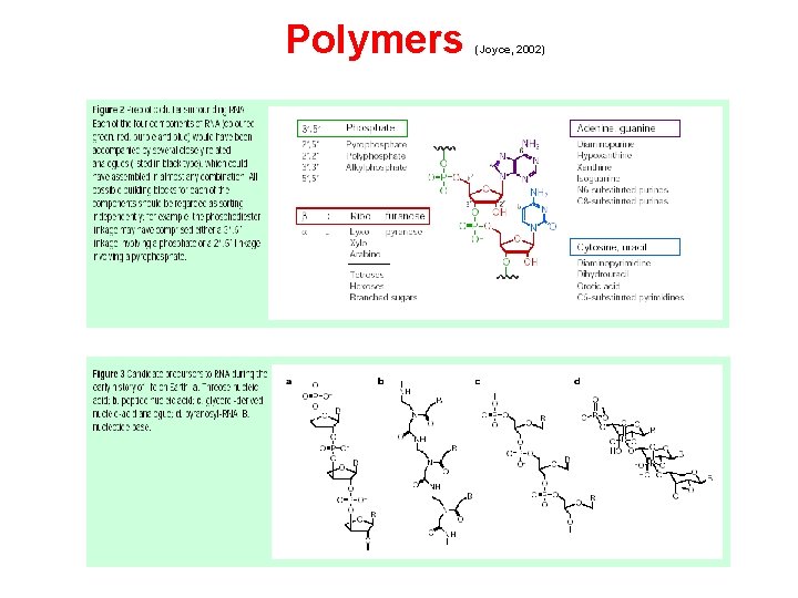 Polymers (Joyce, 2002) 