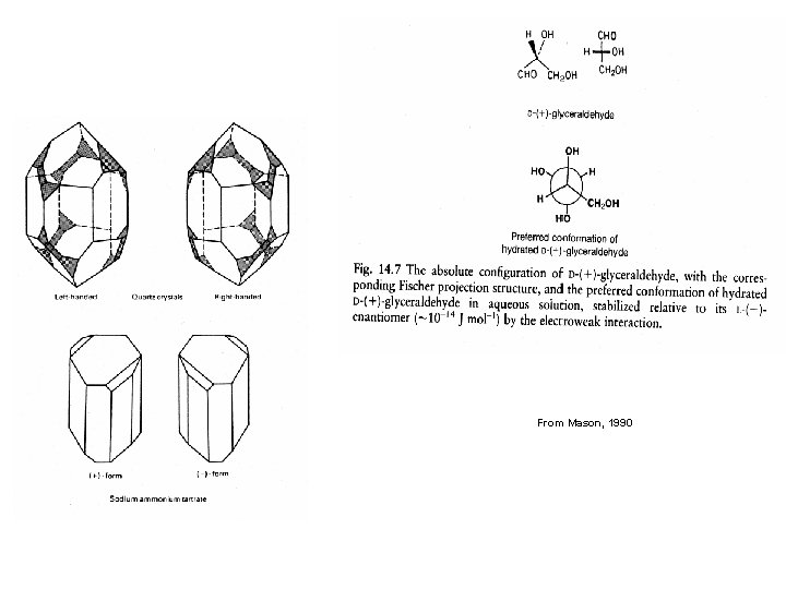 From Mason, 1990 