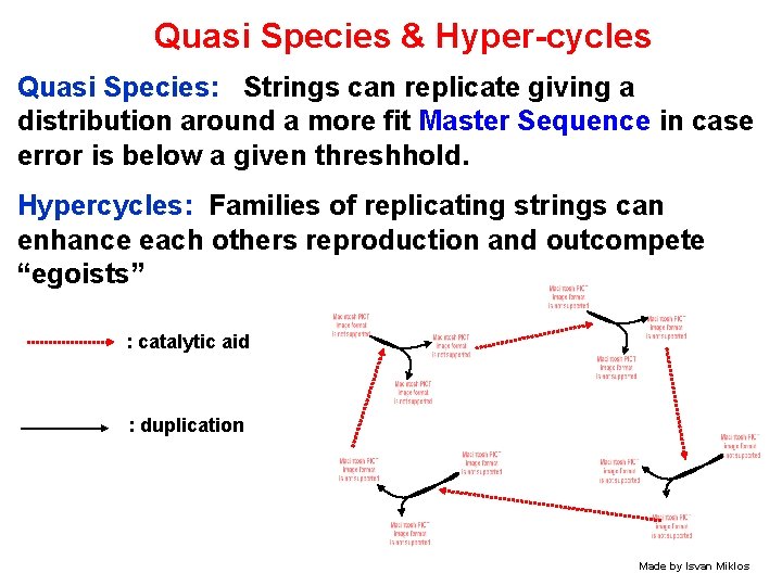 Quasi Species & Hyper-cycles Quasi Species: Strings can replicate giving a distribution around a