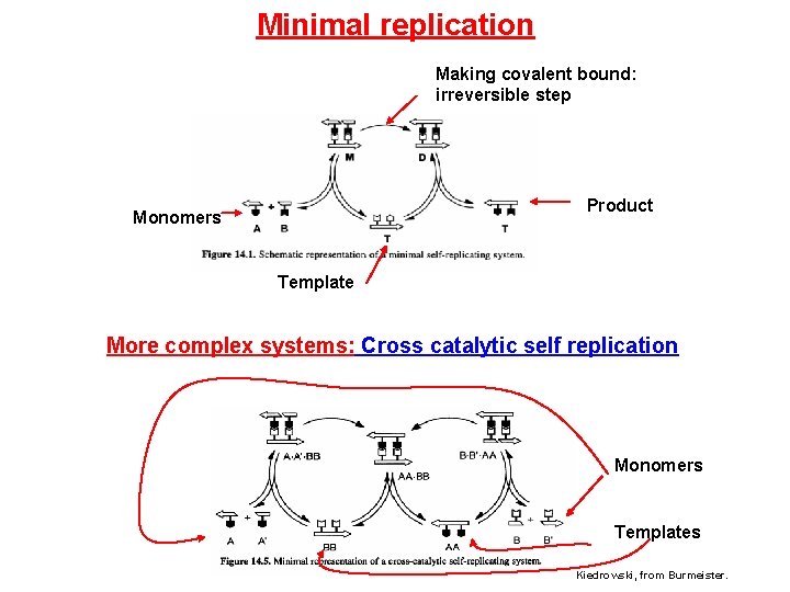Minimal replication Making covalent bound: irreversible step Product Monomers Template More complex systems: Cross
