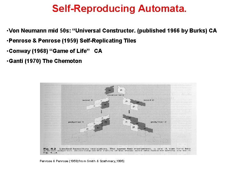 Self-Reproducing Automata. • Von Neumann mid 50 s: “Universal Constructor. (published 1966 by Burks)