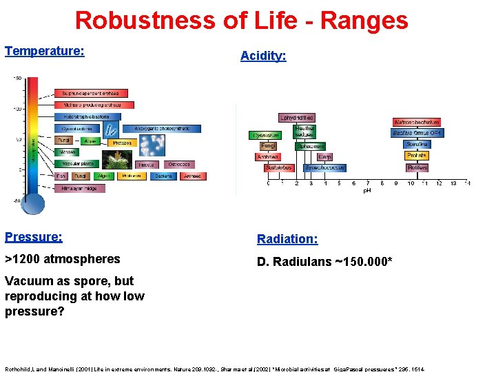 Robustness of Life - Ranges Temperature: Acidity: Pressure: Radiation: >1200 atmospheres D. Radiulans ~150.