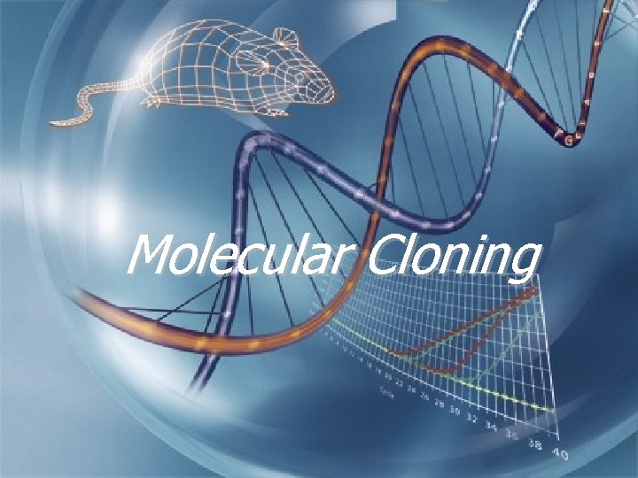 Molecular Cloning 