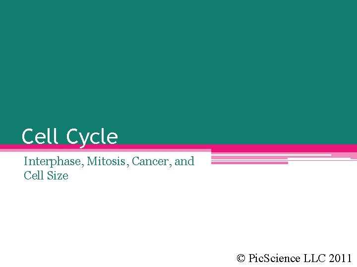 Cell Cycle Interphase, Mitosis, Cancer, and Cell Size © Pic. Science LLC 2011 