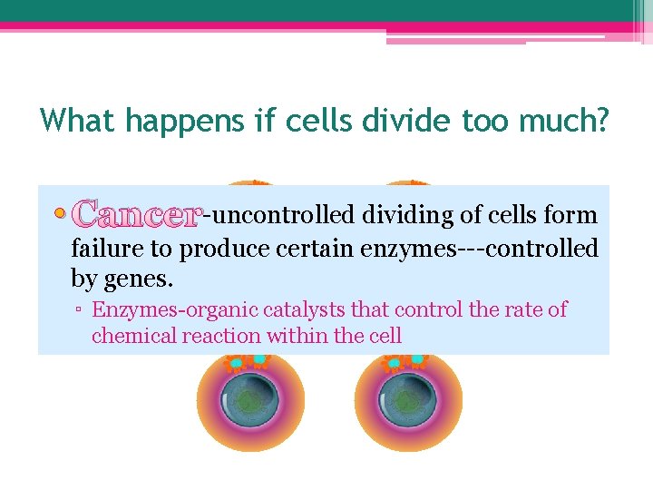 What happens if cells divide too much? • Cancer-uncontrolled dividing of cells form failure