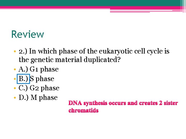 Review • 2. ) In which phase of the eukaryotic cell cycle is the