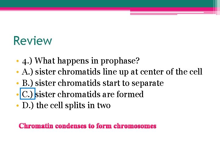 Review • • • 4. ) What happens in prophase? A. ) sister chromatids