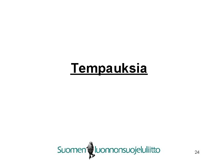 Tempauksia 24 