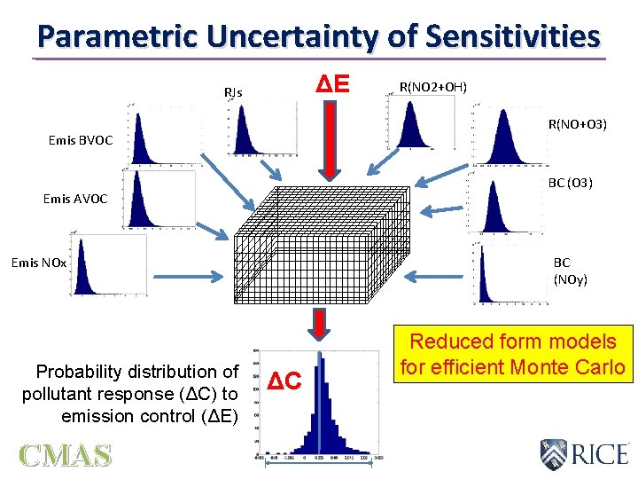 Parametric Uncertainty of Sensitivities ΔE RJs R(NO+O 3) Emis BVOC BC (O 3) Emis