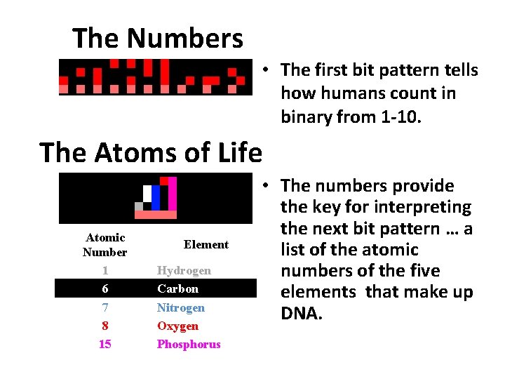 The Numbers • The first bit pattern tells how humans count in binary from