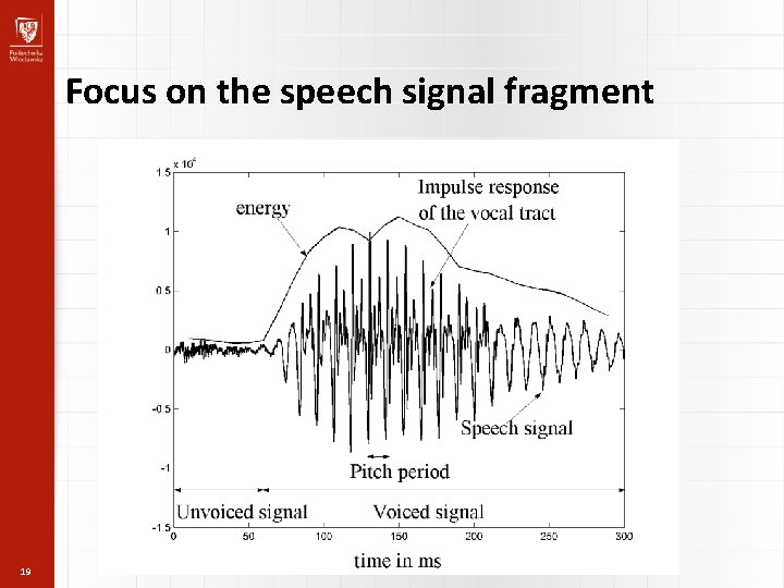 Focus on the speech signal fragment 19 