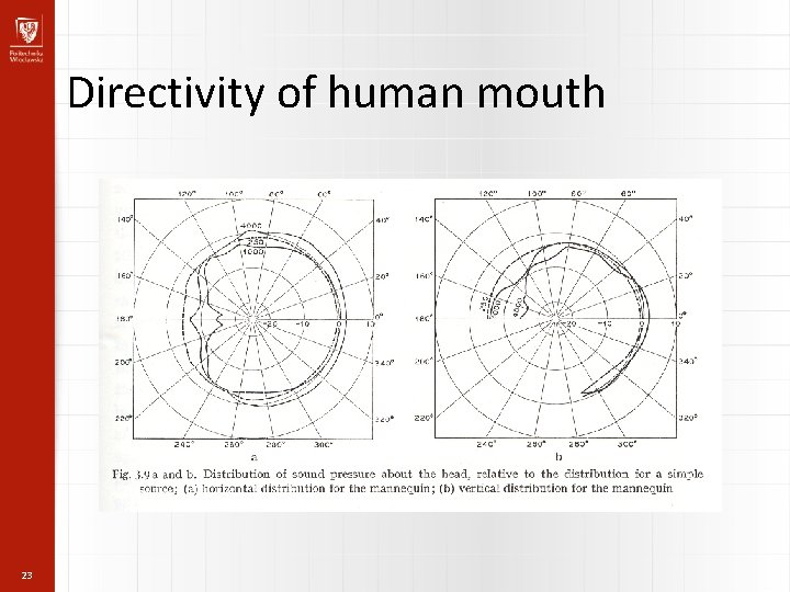 Directivity of human mouth 23 