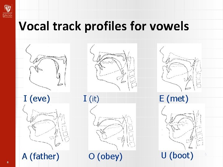 Vocal track profiles for vowels I (eve) 6 A (father) I (it) O (obey)