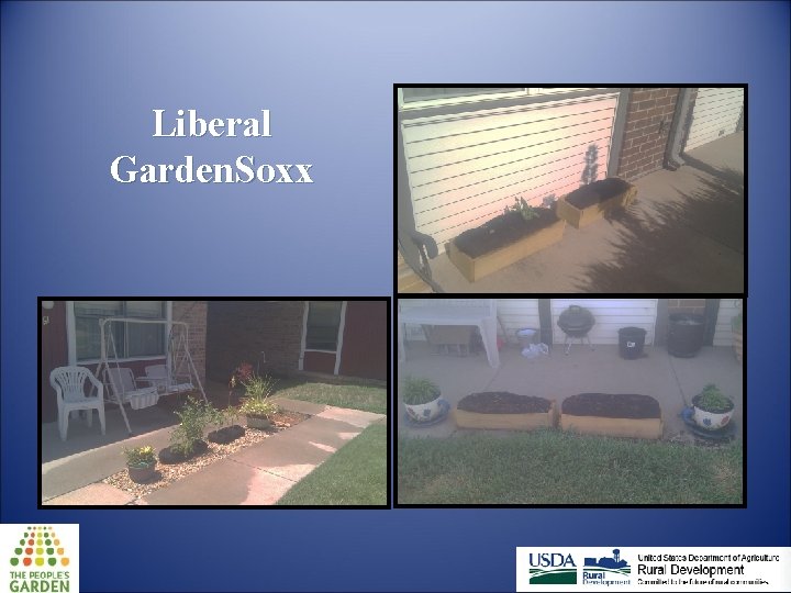 Liberal Garden. Soxx 