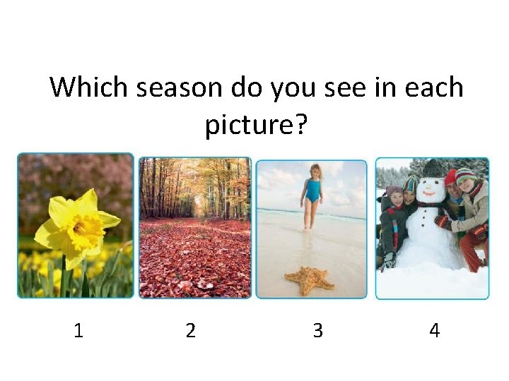 Which season do you see in each picture? 1 2 3 4 Which season do you see in each picture? 1 2 3 4
