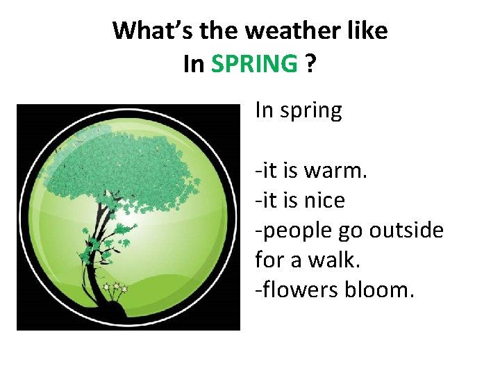What’s the weather like In SPRING ? In spring -it is warm. -it is What’s the weather like In SPRING ? In spring -it is warm. -it is