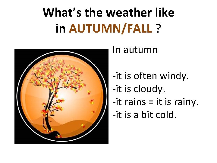 What’s the weather like in AUTUMN/FALL ? In autumn -it is often windy. -it