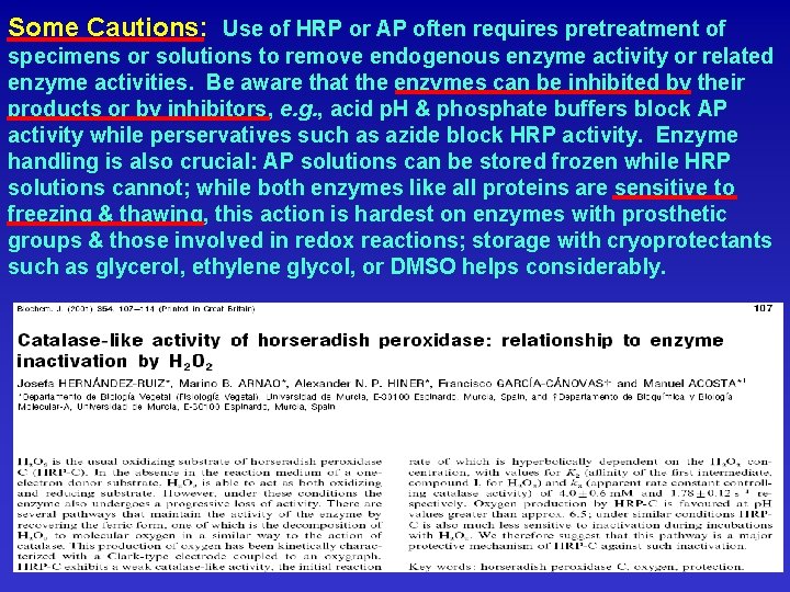 Some Cautions: Use of HRP or AP often requires pretreatment of specimens or solutions