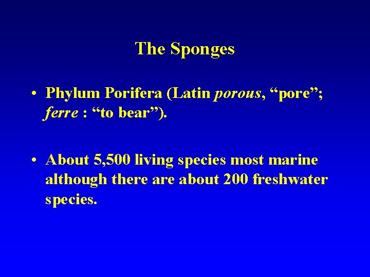 The Sponges • Phylum Porifera (Latin porous, “pore”; ferre : “to bear”). • About