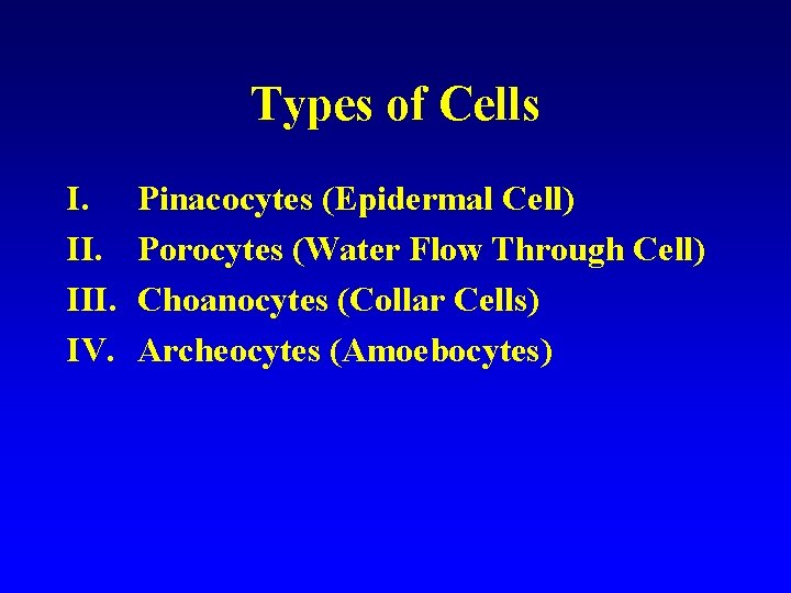 Types of Cells I. III. IV. Pinacocytes (Epidermal Cell) Porocytes (Water Flow Through Cell)