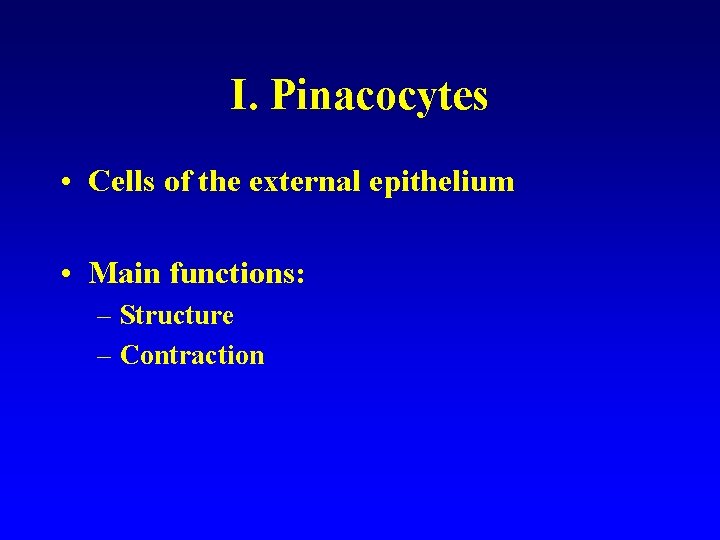 I. Pinacocytes • Cells of the external epithelium • Main functions: – Structure –