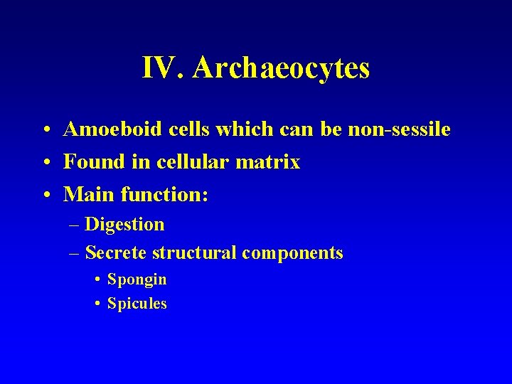 IV. Archaeocytes • Amoeboid cells which can be non-sessile • Found in cellular matrix
