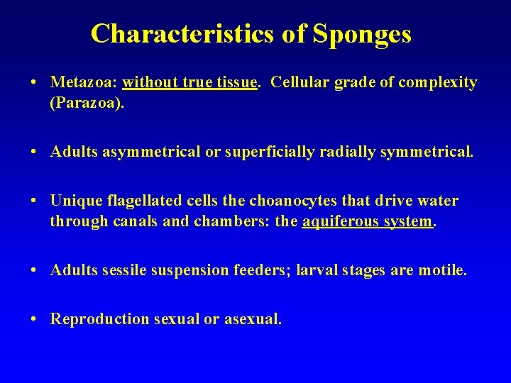 Characteristics of Sponges • Metazoa: without true tissue. Cellular grade of complexity (Parazoa). •