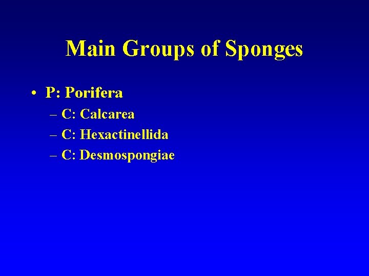 Main Groups of Sponges • P: Porifera – C: Calcarea – C: Hexactinellida –