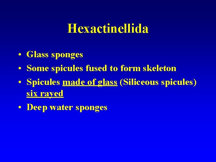 Hexactinellida • Glass sponges • Some spicules fused to form skeleton • Spicules made