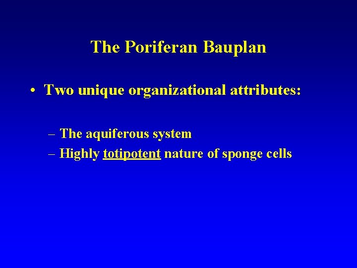 The Poriferan Bauplan • Two unique organizational attributes: – The aquiferous system – Highly