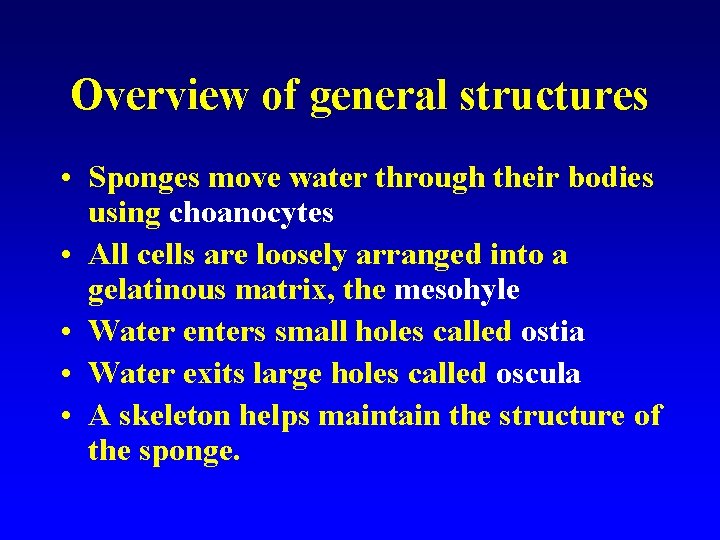 Overview of general structures • Sponges move water through their bodies using choanocytes •