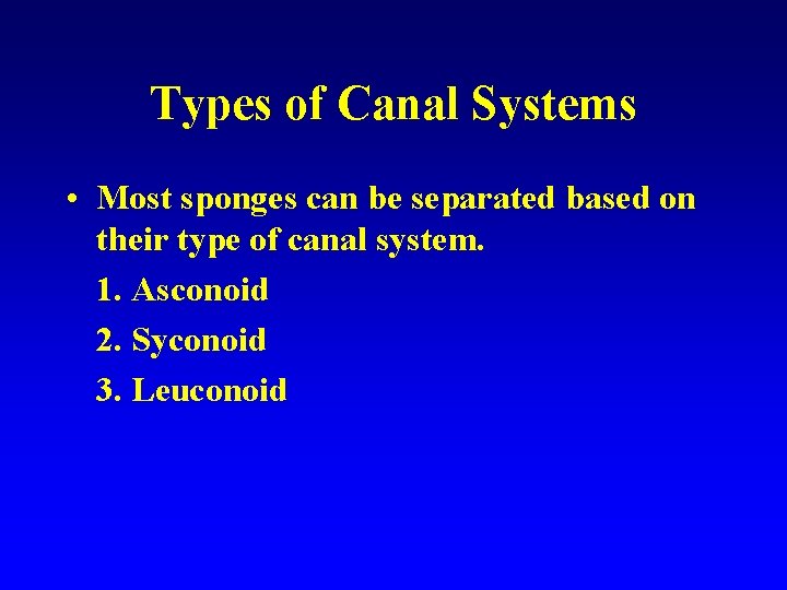 Types of Canal Systems • Most sponges can be separated based on their type