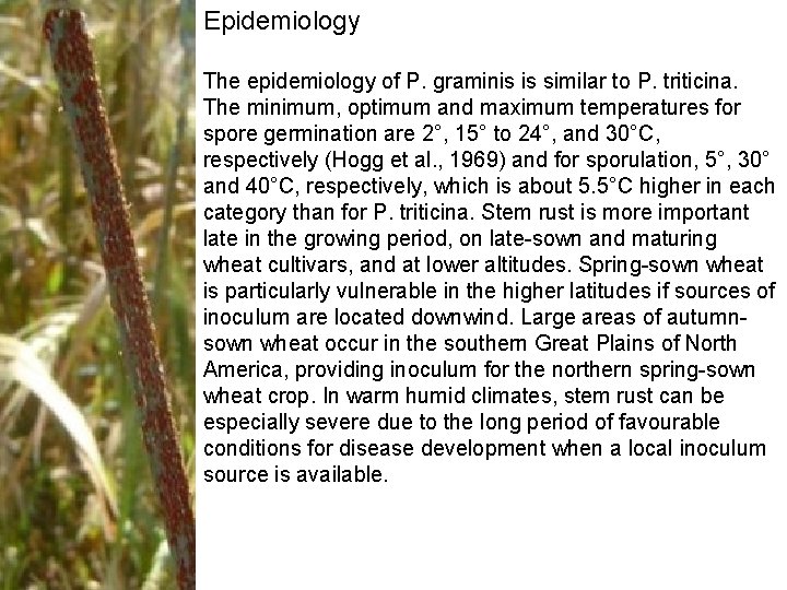 Epidemiology The epidemiology of P. graminis is similar to P. triticina. The minimum, optimum Epidemiology The epidemiology of P. graminis is similar to P. triticina. The minimum, optimum