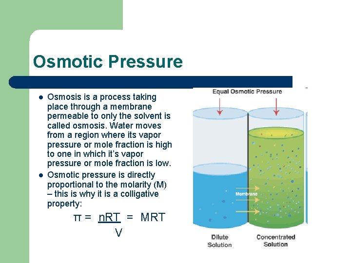 Osmotic Pressure l l Osmosis is a process taking place through a membrane permeable