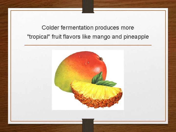 Colder fermentation produces more "tropical" fruit flavors like mango and pineapple 