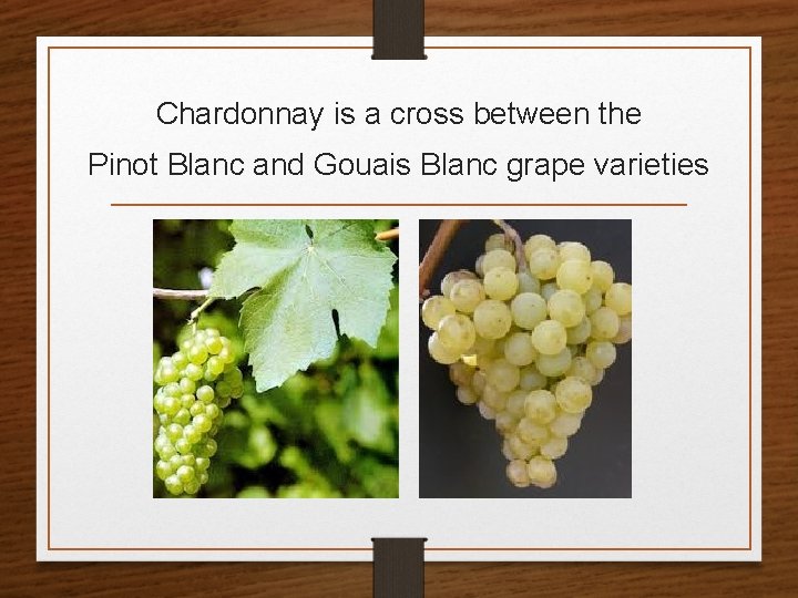 Chardonnay is a cross between the Pinot Blanc and Gouais Blanc grape varieties 