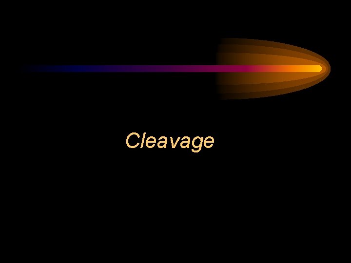 Cleavage 