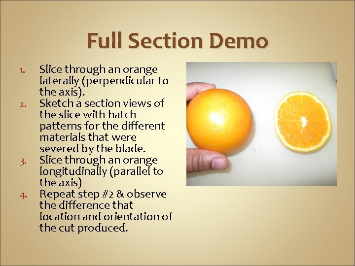 Full Section Demo 1. 2. 3. 4. Slice through an orange laterally (perpendicular to