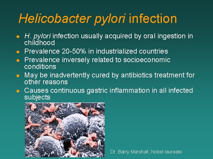 Helicobacter pylori infection l l l H. pylori infection usually acquired by oral ingestion