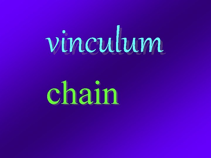 vinculum chain 