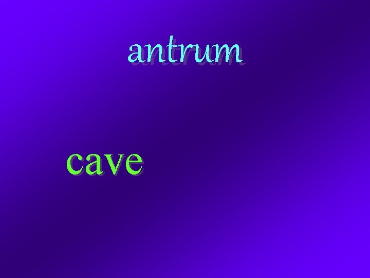 antrum cave 